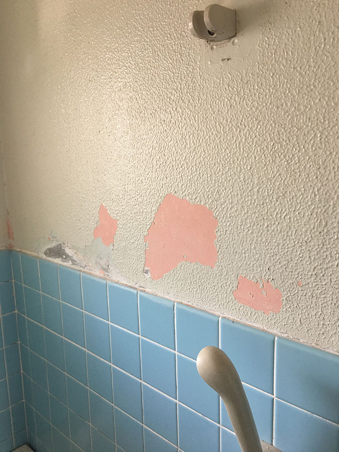 浴室の壁